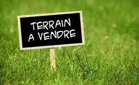 Toutes nos annonces