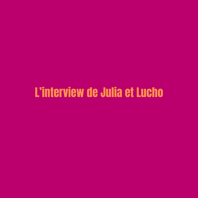 Découvrez le témoignage de Julia et Lucho sur leur expérience avec nous !