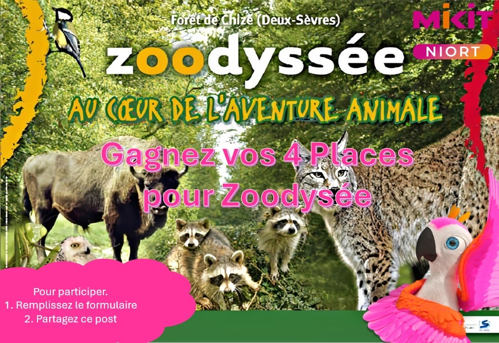 Jeu Concours Eté