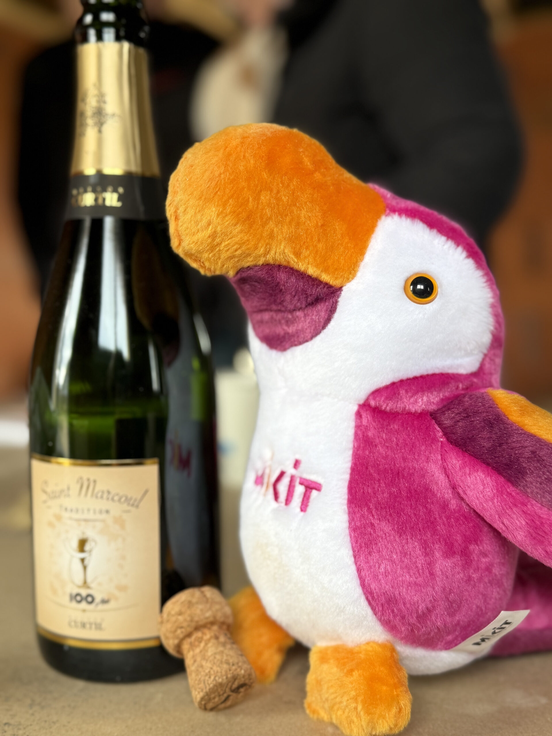 Salesforce-Agency-Posts-0015700002BVHbsAAH-img_1628