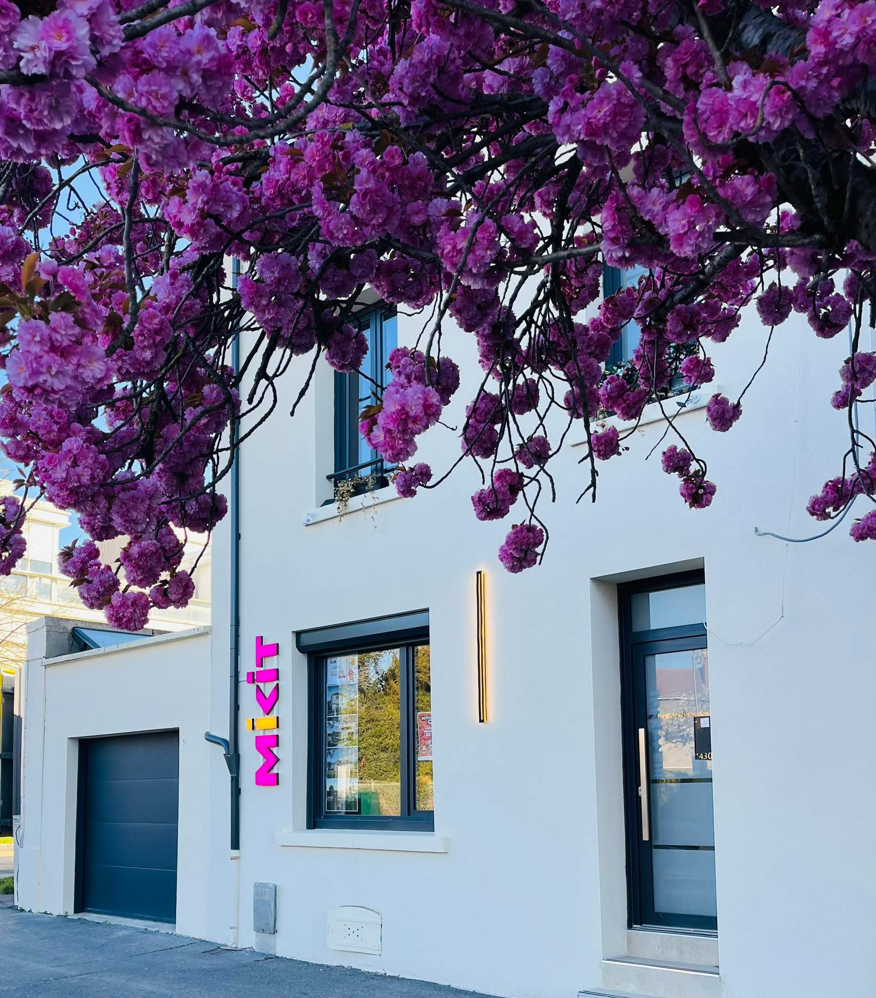 Salesforce-Agency-Posts-0015700002BVHbsAAH-img_1834