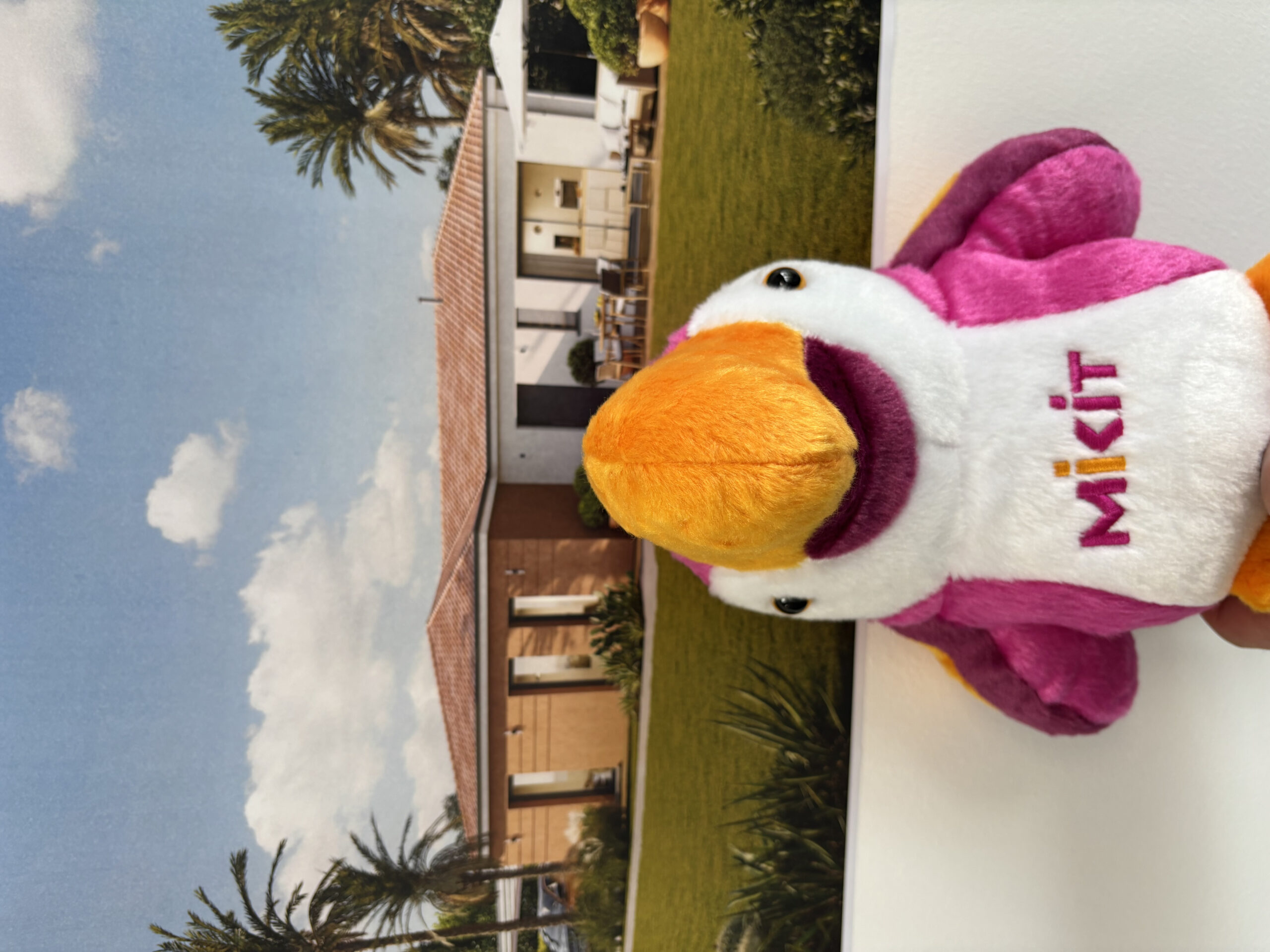 Salesforce-Agency-001Tn000009TRpJIAW-img_1220