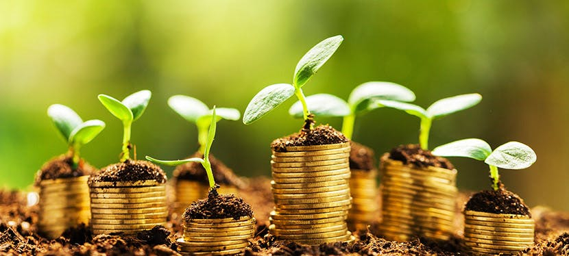 En devenant propriétaire on ne « jette » plus son loyer par les fenêtres