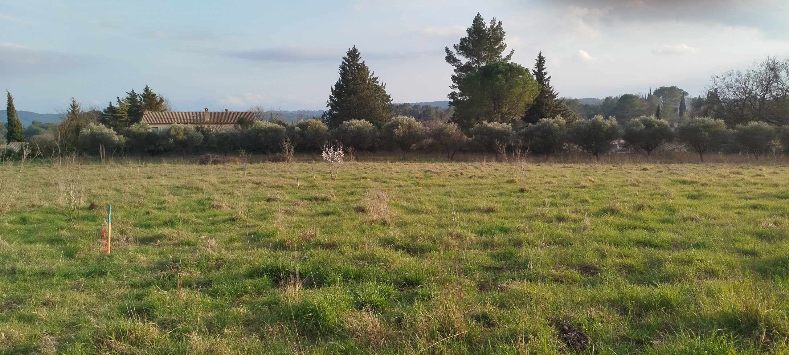 Salesforce-Agency-Posts-001Tn000004e2yWIAQ-0a8f0f6450afcc49cb3d029e42cd3577