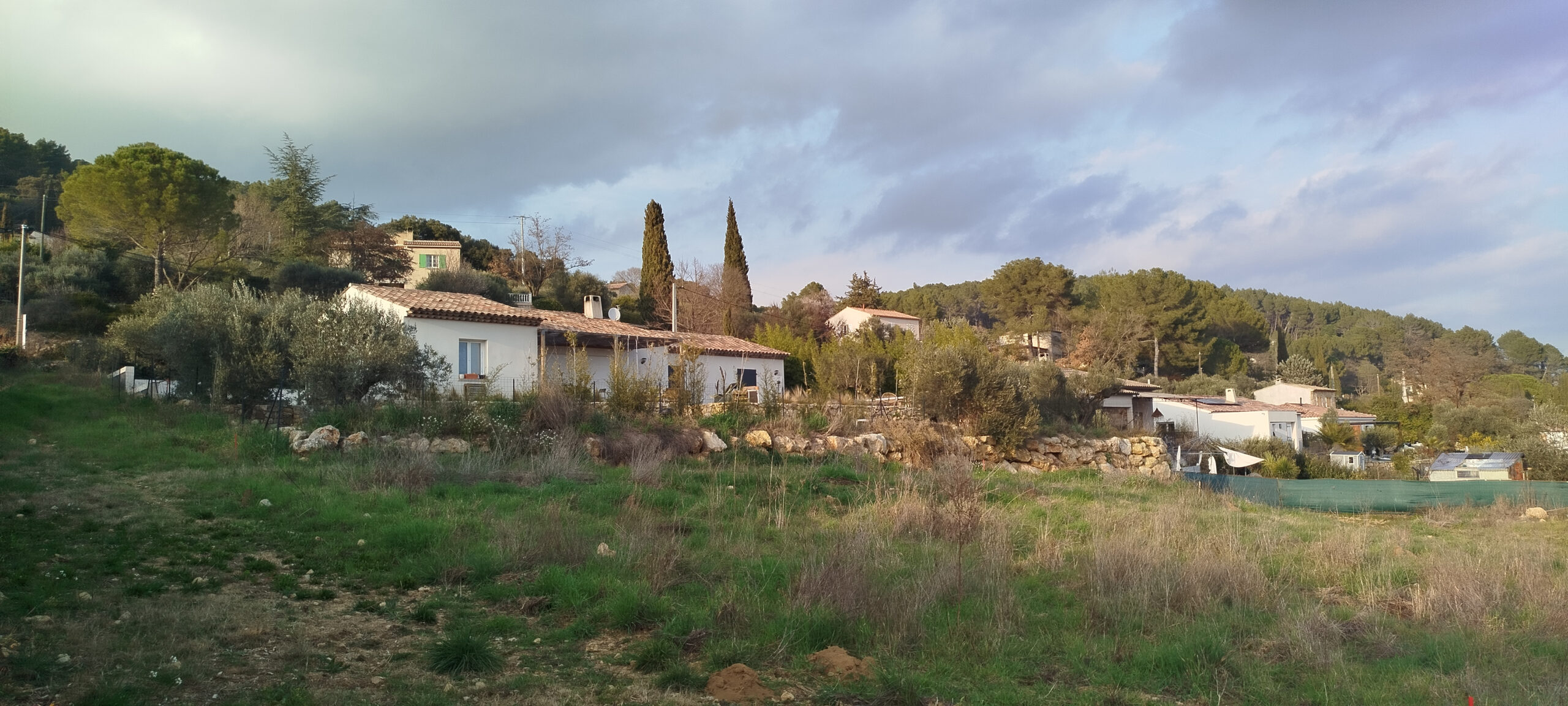 Salesforce-Agency-Posts-001Tn000004e2yWIAQ-3fab54bc4c11ccf6890105344daf004c