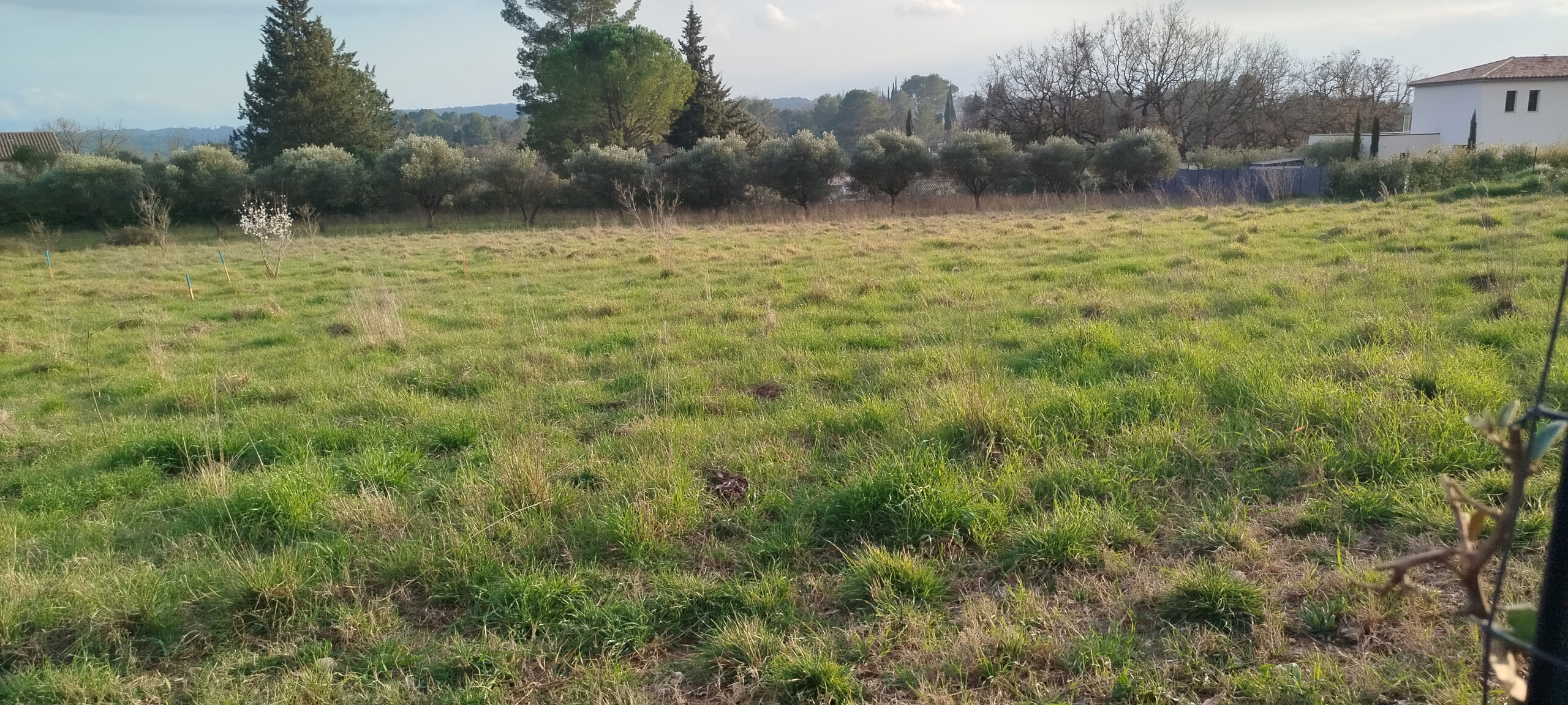 Salesforce-Agency-Posts-001Tn000004e2yWIAQ-67b15964ef20990808ed47136882128c