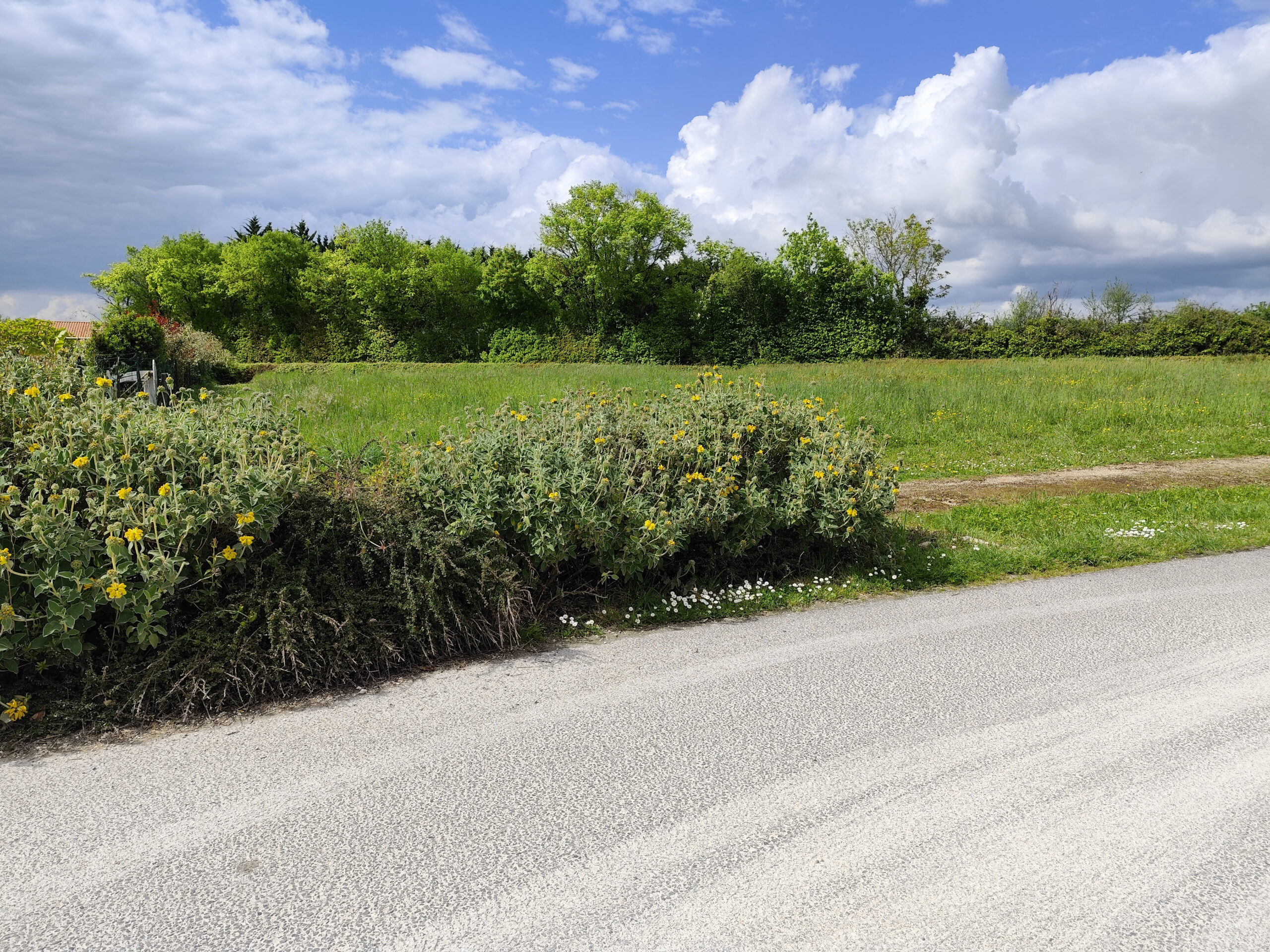 Salesforce-Agency-Posts-001Tn000009Teg1IAC-_lastcapturedimage_20250422_160418