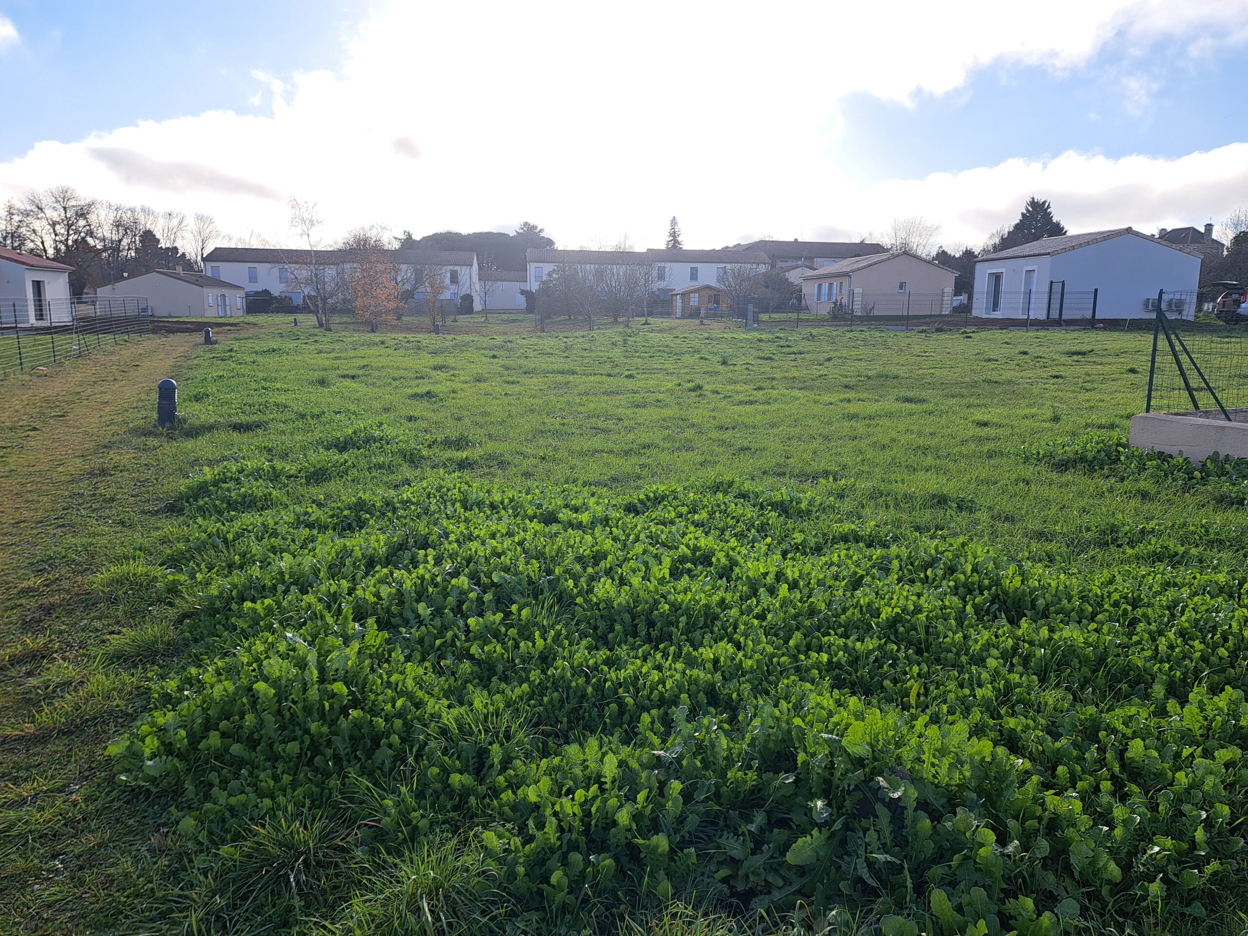 Salesforce-Agency-Posts-001Tn000009Teg1IAC-lezay-mikit-79-neuve-maison-construction