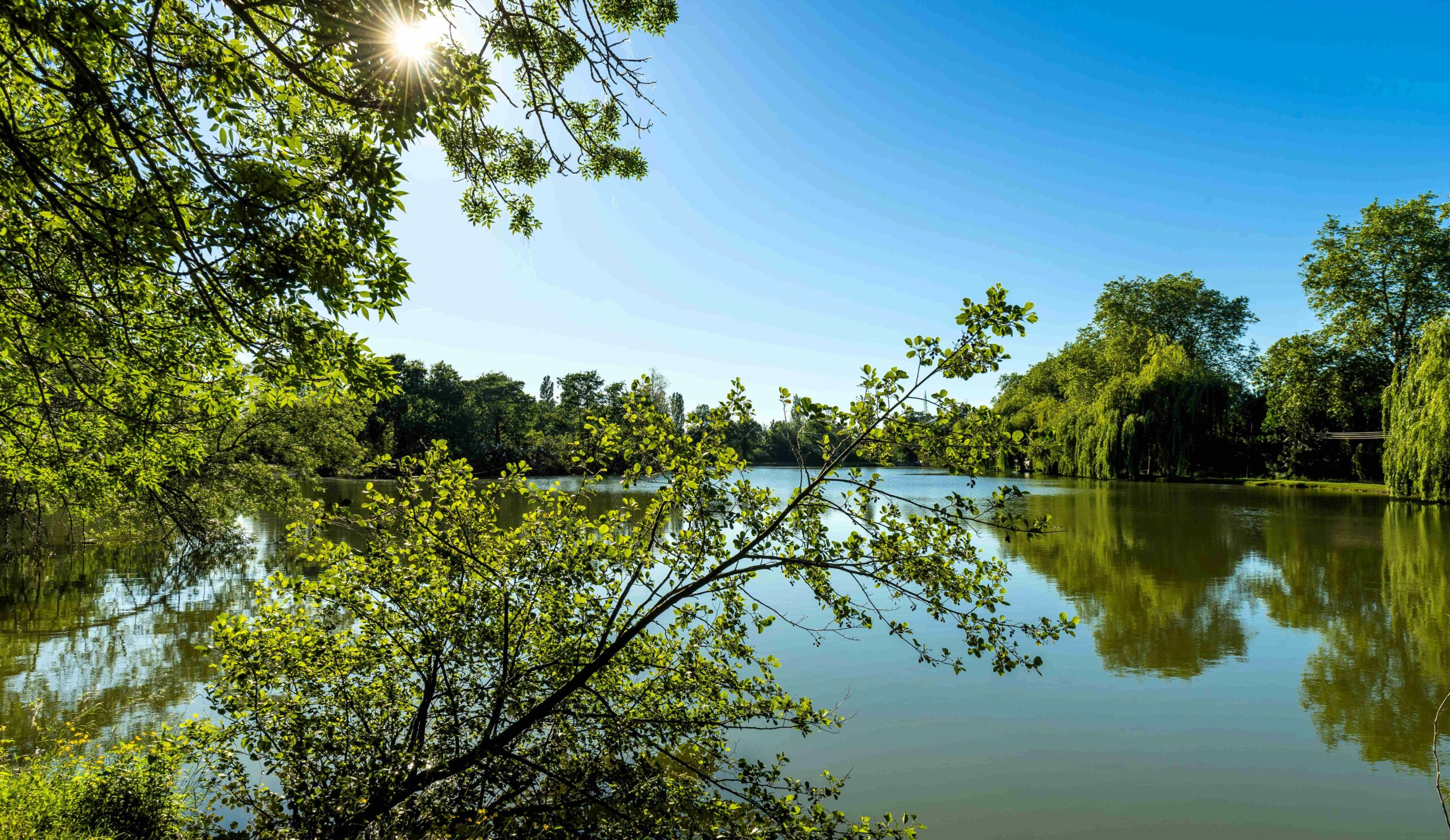 &eth;️ Construire &agrave; petit prix : Le trio gagnant &agrave; l'Ouest de Toulouse